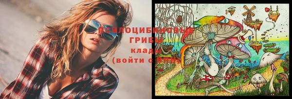 скорость Алексеевка
