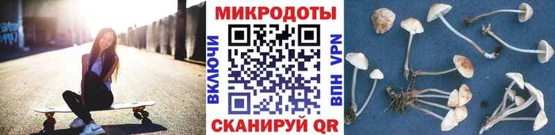 что такое наркотик  Алексин  Псилоцибиновые грибы мухоморы 